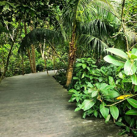 Rayshiva Homestay Ubud  Exterior photo