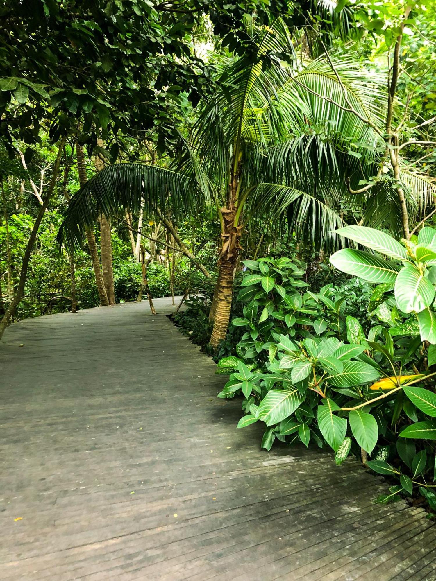 Rayshiva Homestay Ubud  Exterior photo